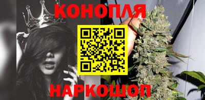 крисы Коммунар
