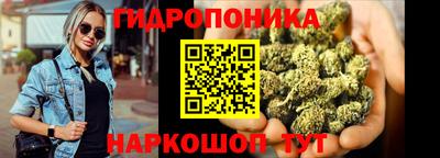 крисы Коммунар