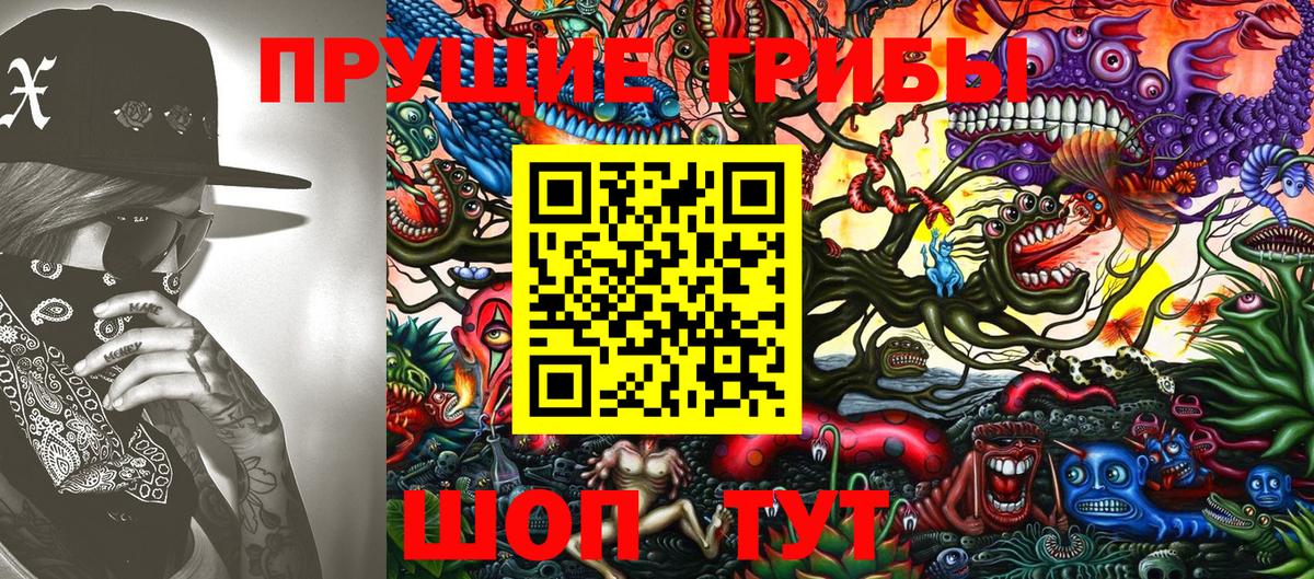 Псилоцибиновые грибы Psilocybe Костомукша
