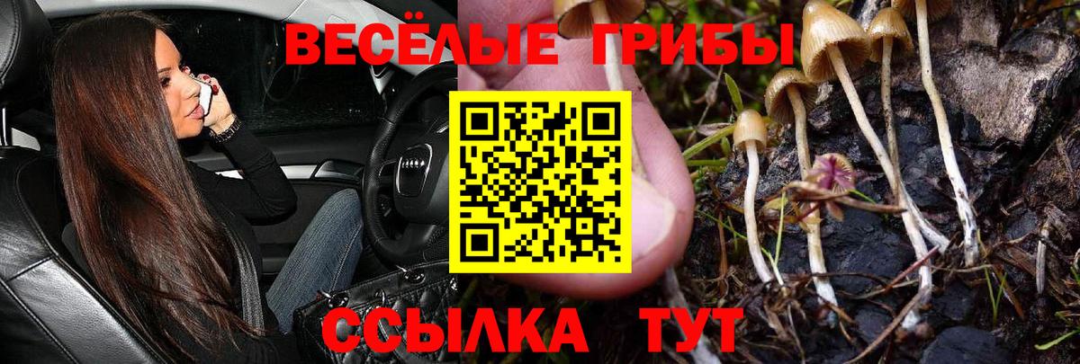 Галлюциногенные грибы мухоморы  Вход с VPN  хочу   Псилоцибиновые грибы прущие грибы  Костомукша 